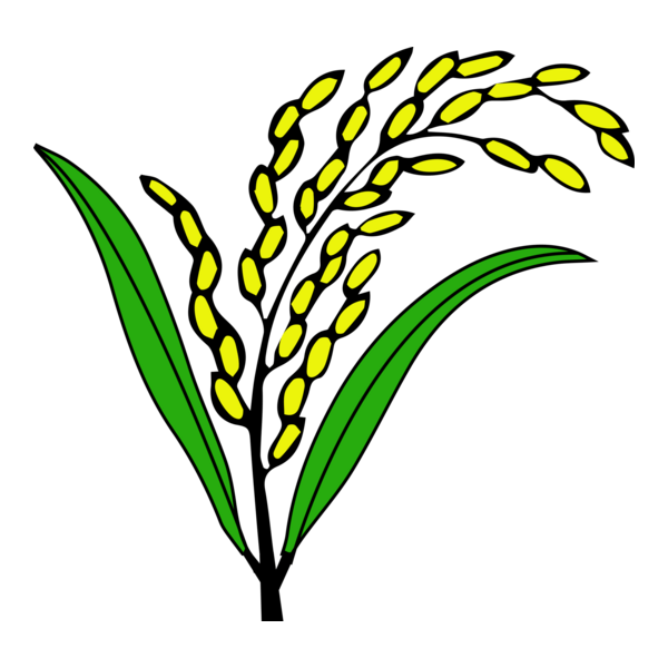 Mustafijur Rahman Bhuiyan Dipu